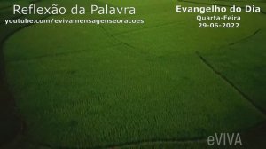 EVANGELHO DO DIA 29/06 | MATEUS 8,28-34 ORAÇÃO DA MANHÃ E HOMILIA DIÁRIA UMA REFLEXÃO DE VIDA EVIVA