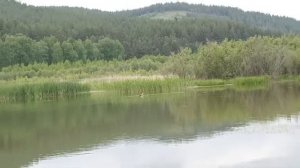 Надеино 12 июня 2024