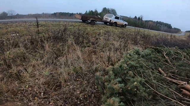 Дрова на халяву или как сэкономить деньги!!!!Серия 1 смотреть онлайн