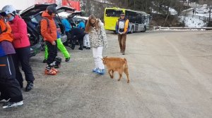 SKI - Val Gardena 2019