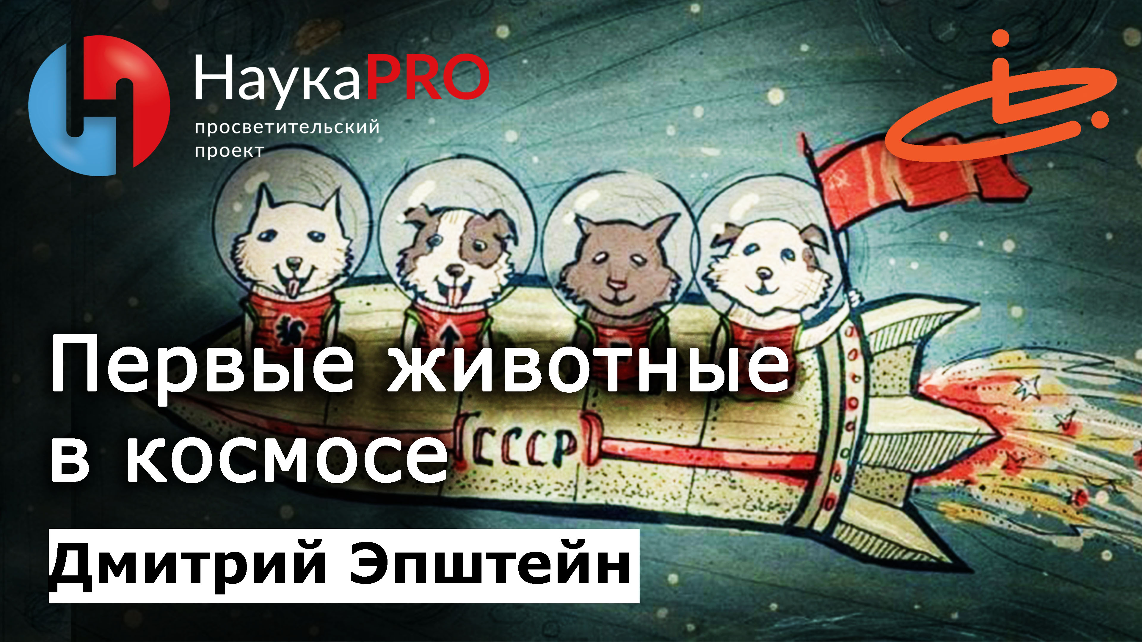 Первые животные в космосе – астрофизик Дмитрий Эпштейн | Научпоп