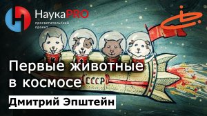 Первые животные в космосе – астрофизик Дмитрий Эпштейн | Научпоп
