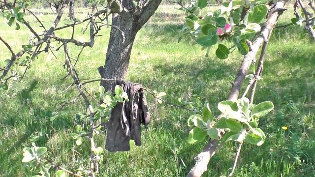 Путешествия Артема (3 года) в яблоневый сад и огород в селе Камышное. смотреть онлайн