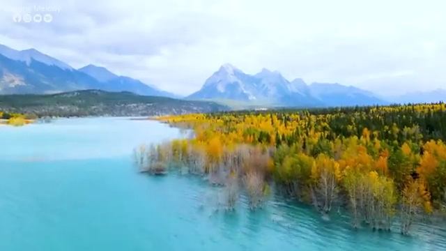 La Música Cura El Corazón Con El Otoño? La Música Suave Restaura El Sistema Nervioso Y El Alma