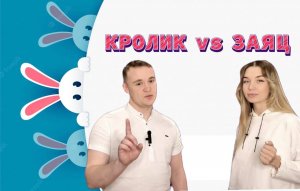 Животный мир. Кролик.