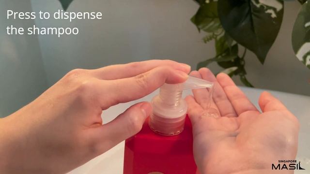 MASIL 500ml Shampoo Tutorial | Stellar K-Beauty смотреть онлайн