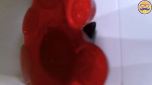 ДАЖЕ КОТУ СТЫДНО ЗА ЭТОТ ПОСТУПОК МЕДВЕДЯ ВАЛЕРЫ | КОТОЧАЙ ИЛИ 13 КОТО ГАДЖЕТОВ ДЛЯ МЕДВЕДЯ ВАЛЕРЫ