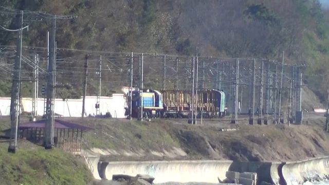 Дончаки и море смотреть онлайн