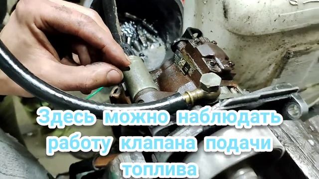 ШОК!Проверка ТНВД SIEMENS VDO без стенда!!!#siemens vdo#топливный насос#топливная Сименс