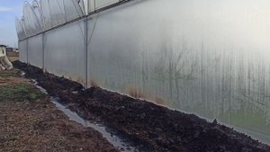 блочная теплица 50×50 высота 6.5м Энергоэффективная.  С размерами.