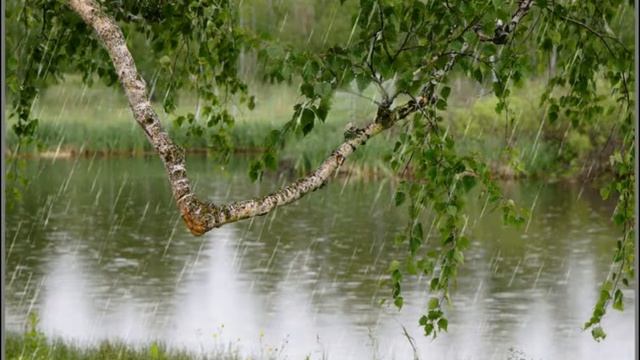 Шум дождя- Звуки природы. Для сна ребенка смотреть онлайн