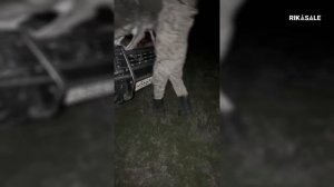 Охота на волков. Выбил всю стаю. Добыл четыре матерых волка за один раз. Выстрелы по волкам!