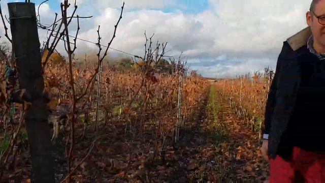 Русские виноделы во Франции / видео 6 смотреть онлайн