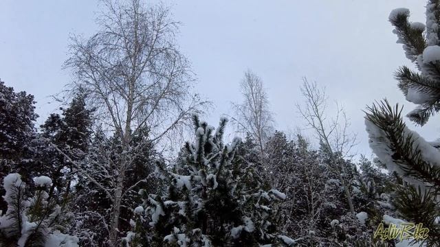 До весны осталась только ночь - 5.02.2023 смотреть онлайн