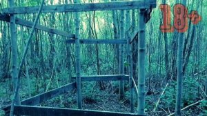ДОМИК НА ДЕРЕВЕ ИЗ СКОТЧА, 1000 СЛОЕВ СКОТЧА ЧЕЛЛЕНДЖ.