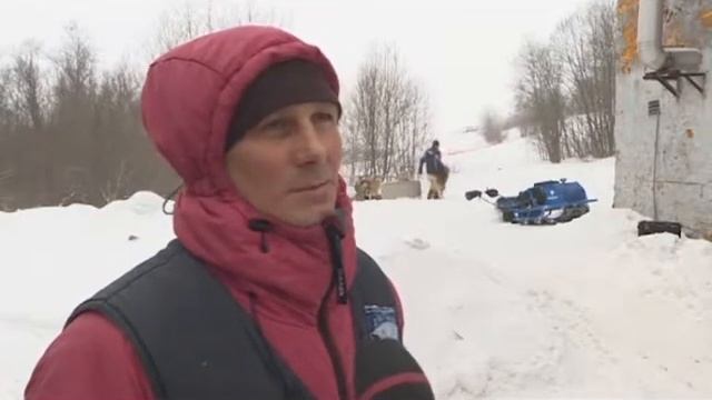 Непростой старт пушкинских хаски в Архангельске смотреть онлайн