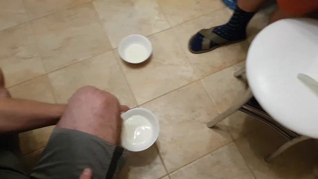 Контрольная закупка. Папильон выбирает молоко. смотреть онлайн