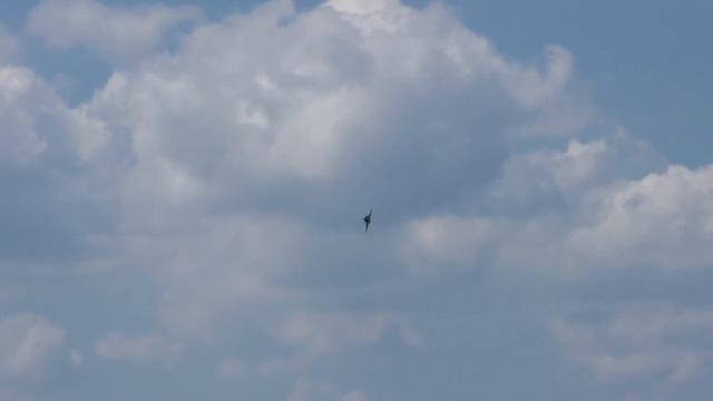 Saab JAS 39C Gripen Czech Air Force, pilot Ivo Kardos, Pardubice Airshow 2019 смотреть онлайн