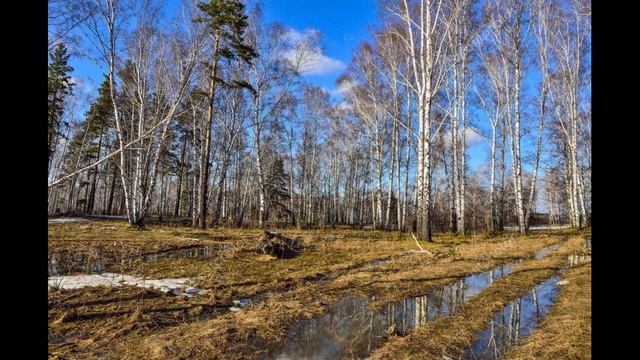 22 марта праздник Сороки, Сорок сороков. Обязательно сегодня сделайте поклон 40 раз. Приметы дня. смотреть онлайн
