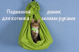 Подвесной домик для котенка, который был сделан своими руками.