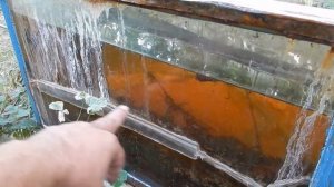 Мой ремонт аквариумов.