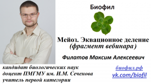 Мейоз: эквационное деление || Биофил. Подготовка к ЕГЭ, ОГЭ, ЦТ и ЕНТ по биологии.
