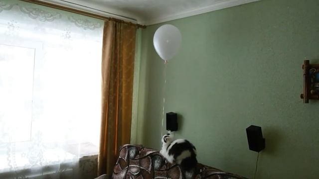 Я улетаю на большом воздушном шаре. смотреть онлайн