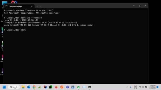 How to download and install Oracle Jdk and IntelliJ IDEA on Windows 11 | Java | Jdk | IntelliJ IDEA смотреть онлайн