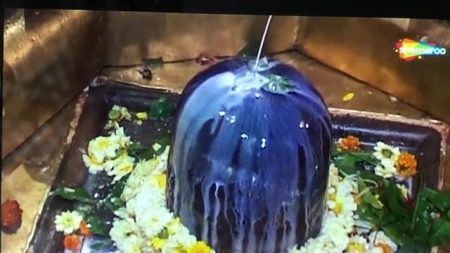 Karpura Gauram Karunavtaram, Shiv Stuti, Powerful Shiv Mantra.Hara Hara Mahadev. смотреть онлайн