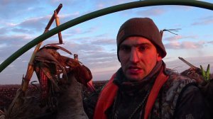 охота на гуся 2024 почти в котле