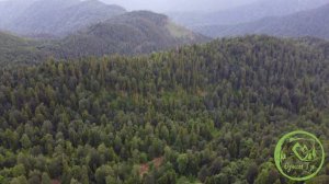 Гузерипль ,Республика Адыгея