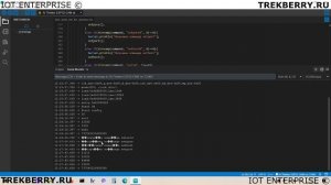 ESP32-CAM храним SSID, PASSWORD, HOST, PORT, IMEI во внутренней памяти с возможностью перезаписи