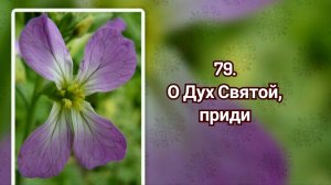 Гимны надежды 79 О Дух Святой, приди (-)