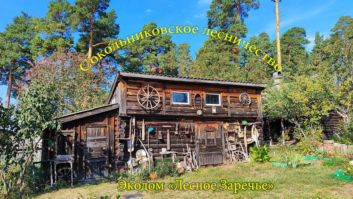 Сокольники первая часть