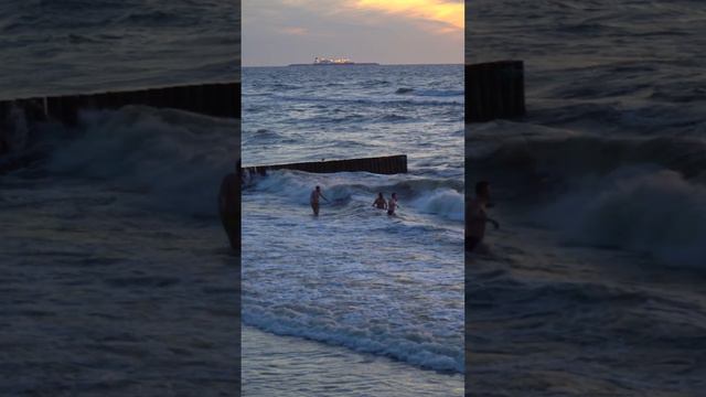 Моржи?! Балтийское море, температура воды +7.5°C / Walruses?! Baltic Sea, water temperature 7.5°C