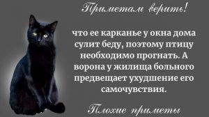 Если не обращать внимание на эти 13 плохих примет, в вашу жизнь скоро ворвутся несчастья