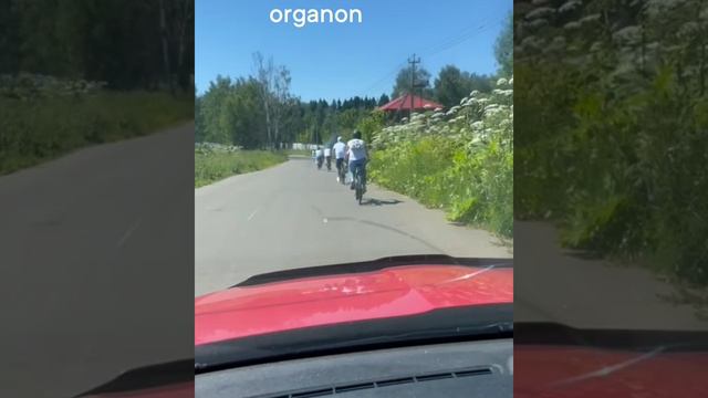 Велопробег Organon