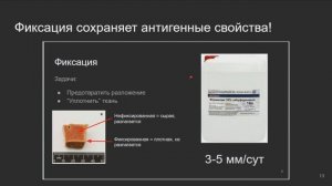 Основы иммуногистохимии | Элементарная гистология