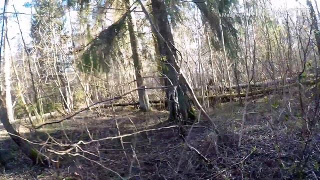 Юрмала. Отдых на природе смотреть онлайн