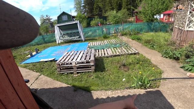 ВЛОГ! Готовим скумбрию горячего копчения/Сделал капельный полив в теплице/Коптим рыбу/Жизнь на даче