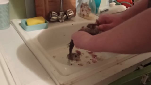 ЗА 20 СЕКУНД - ЧИСТИМ РЫБУ КИПЯТКОМ, БЕЗ ПРОБЛЕМ И ВСЁ ЧИСТО!!!!ЧИСТИМ РЫБУ