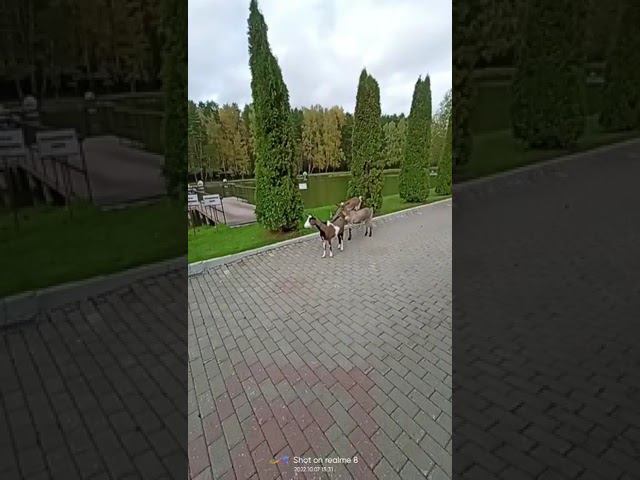 7 октября 2022 г. смотреть онлайн