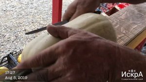 Тыква Плуто F1.