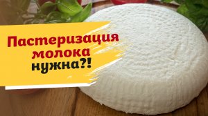 Пастеризация молока: так делать или нет? Как пастеризовать молоко для домашнего сыра