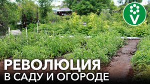 ПЕРМАКУЛЬТУРА: что это такое и как ее использовать на ваших 6 сотках?