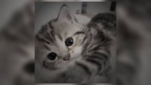 hensy - поболело и прошло (speed up)