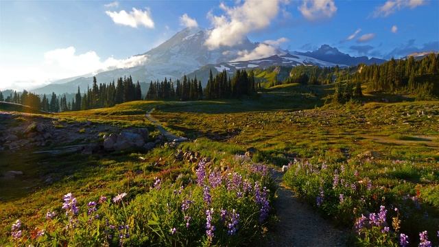  смотреть онлайн