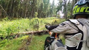 Первый тест новой покрышки Петрошина Л-401