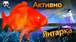 RF4 ОЧЕНЬ АКТИВНО КЛЮЕТ ЕЛЕ УСПЕВАЮ #рр4