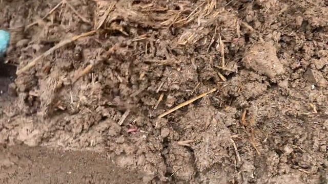 Выборка вермикомпоста из контейнера на улице зимой. Разведение червей на улице. смотреть онлайн